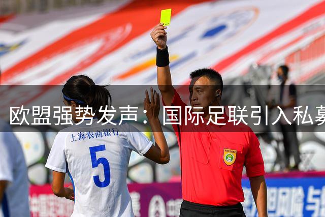 欧盟强势发声：国际足联引入私募投资恐危及足球根本